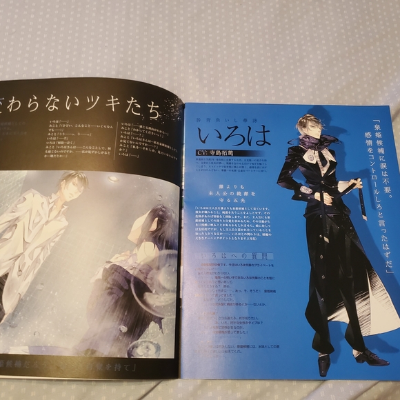 Anime/Game Merch Bundle - Picture 7 of 12